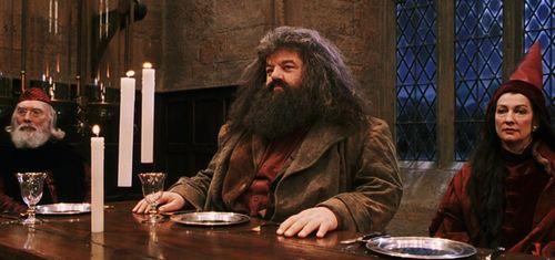 霍格沃茨吃瓜人网盘