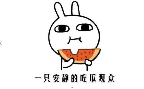 最新热门事件吃瓜吃瓜网,吃瓜群众视角下的真相追踪