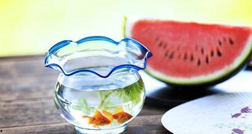 暗黑吃瓜官网,揭秘网络暗流涌动的神秘世界