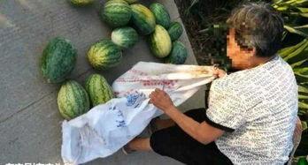 陇南网红吃瓜最新事件,揭秘背后真相与网络舆论风暴