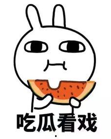 吃瓜网语,吃瓜群众眼中的明星幕后故事