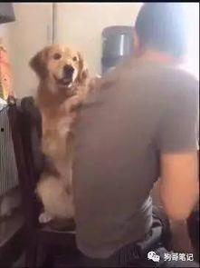 网红狗哥爆料吃瓜事件,揭秘娱乐圈吃瓜大事件！