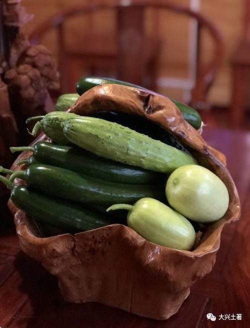 网红yvonne吃瓜,一场吃瓜盛宴背后的故事