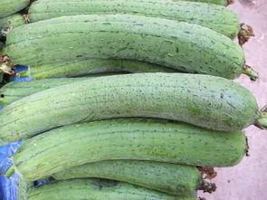 网红吃的水瓜叫啥来着,揭秘水瓜的独特魅力