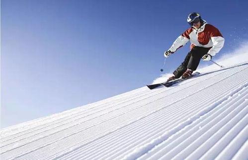 滑雪网红吃瓜视频大全免费观看