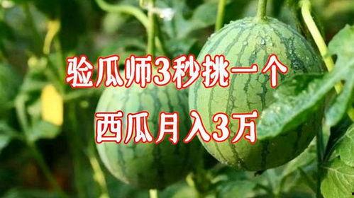 吃瓜传播也是一种网暴行为,吃瓜传播的隐秘危害