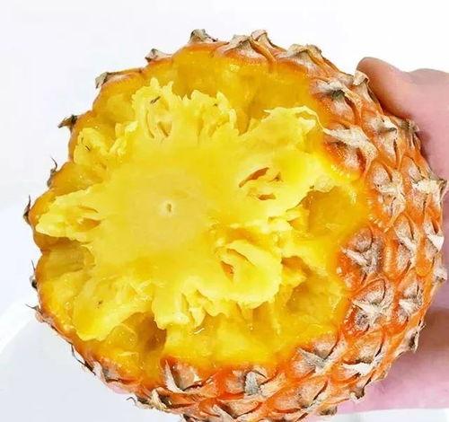 抖音网红菠萝酱吃瓜视频