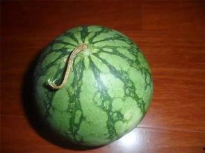 吃瓜网必看大瓜今日吃瓜,今日热点事件深度解析