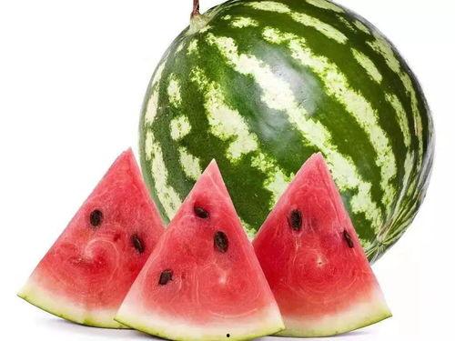 吃瓜网今日吃瓜热门大瓜莫里秀