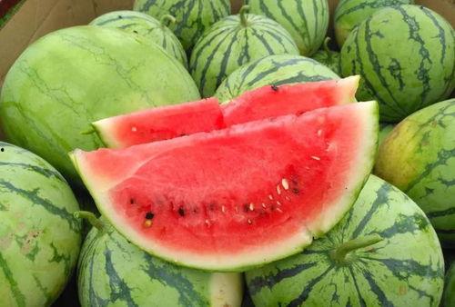 热门网红吃瓜大合集