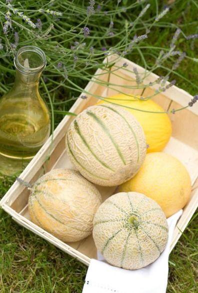 甘肃网红二饼吃瓜事件