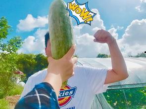 云南怒江吃瓜网红是谁,揭秘云南怒江美食圈风云人物