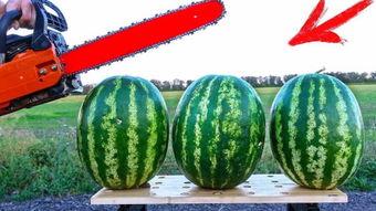 海外吃瓜网是哪个平台的