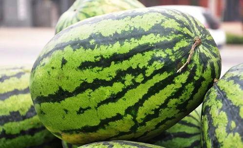 江西网红吃瓜,揭秘网络红人的幕后故事