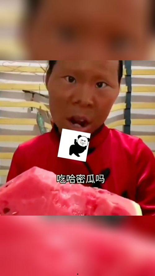 吃哈密瓜网买一送一,买一送一，尽享甜蜜优惠