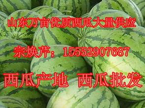 文县网红吃瓜事件最新,揭秘背后真相与网络舆论风暴